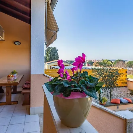 Sweet House With Free Parking Holiday home Pula